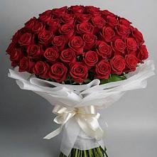 Букет 101 Красная роза Блэк Мэджик в Каз