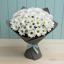 Букет цветов из:  Хризантемы в Каз