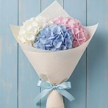 Букет цветов из:  Гортензия в Каз