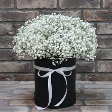 Цветочная композиция из Гипсофила в шляпной коробке #REPLACE_PRED# Каз