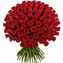 Букет Красные розы Чери Лав в Каз