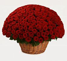 Премиум букет из: Розы в Каз